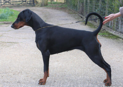 Aritaur Ginerosity (Ginny) JW
